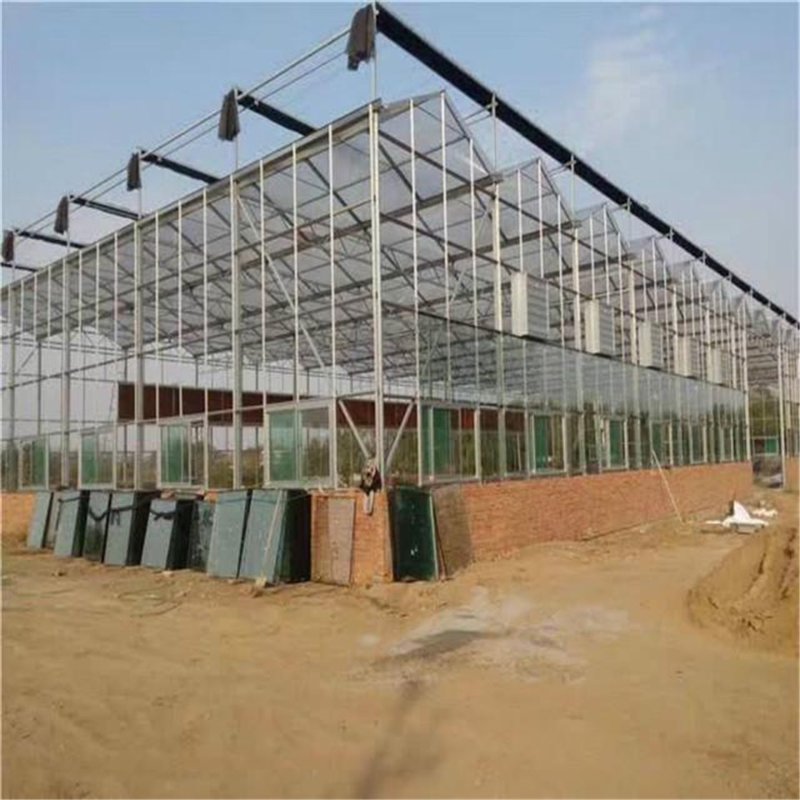 把握现代农业机遇：解读温室大棚建造造价