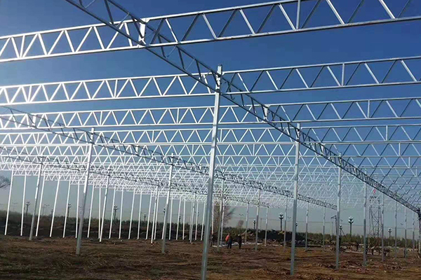 陕西温室大棚：现代农业的美丽图景